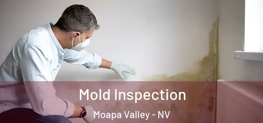  Mold Inspection Moapa Valley - NV
