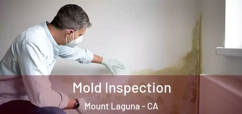 Mold Inspection Mount Laguna - CA