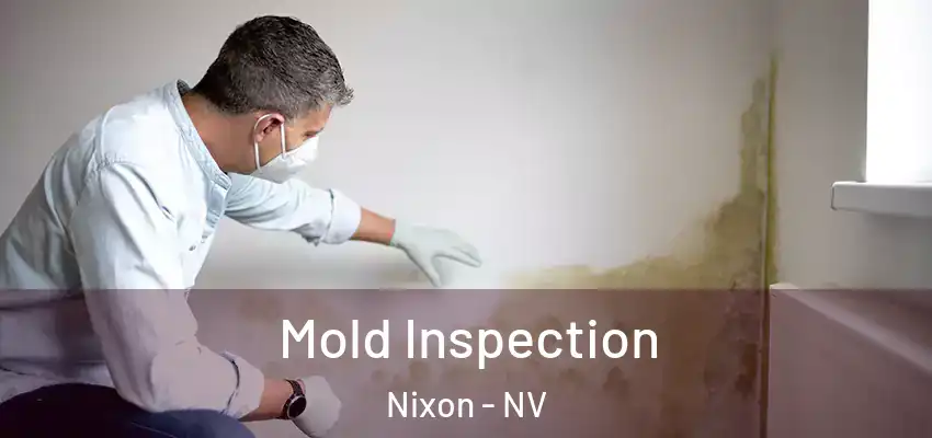  Mold Inspection Nixon - NV