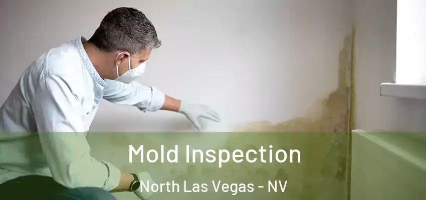 Mold Inspection North Las Vegas - NV