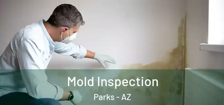  Mold Inspection Parks - AZ