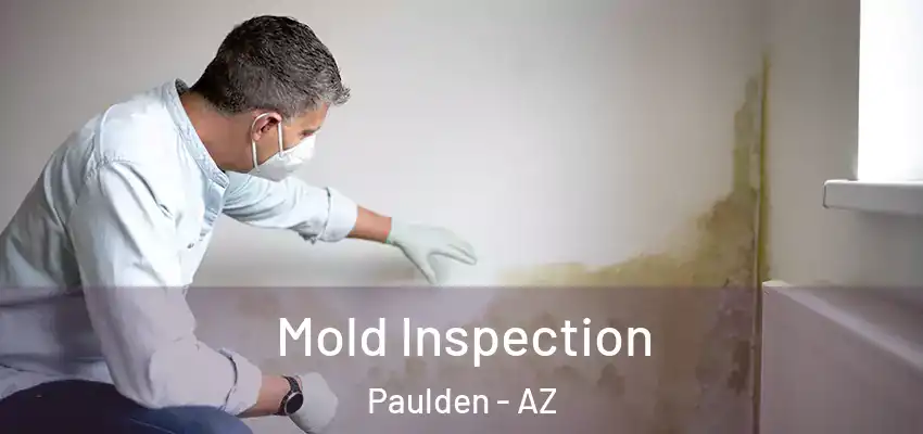  Mold Inspection Paulden - AZ