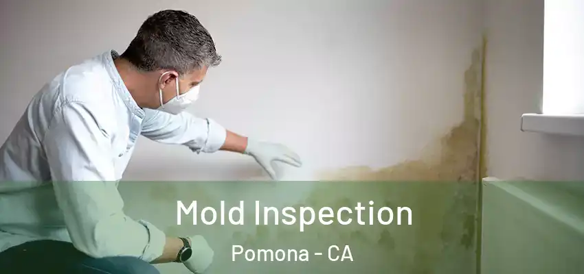 Mold Inspection Pomona - CA