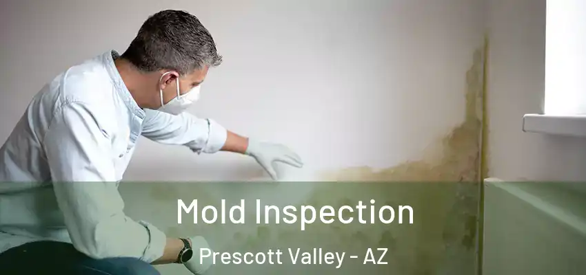  Mold Inspection Prescott Valley - AZ