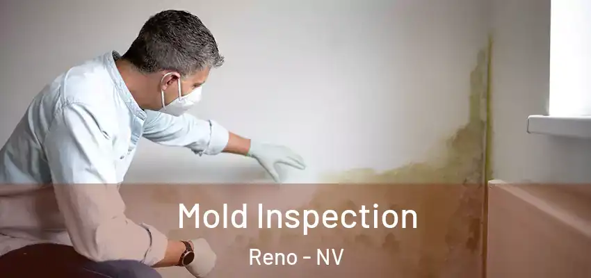  Mold Inspection Reno - NV