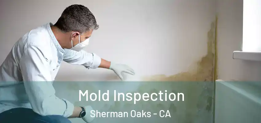  Mold Inspection Sherman Oaks - CA