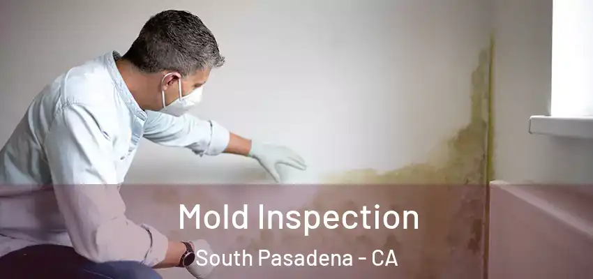  Mold Inspection South Pasadena - CA