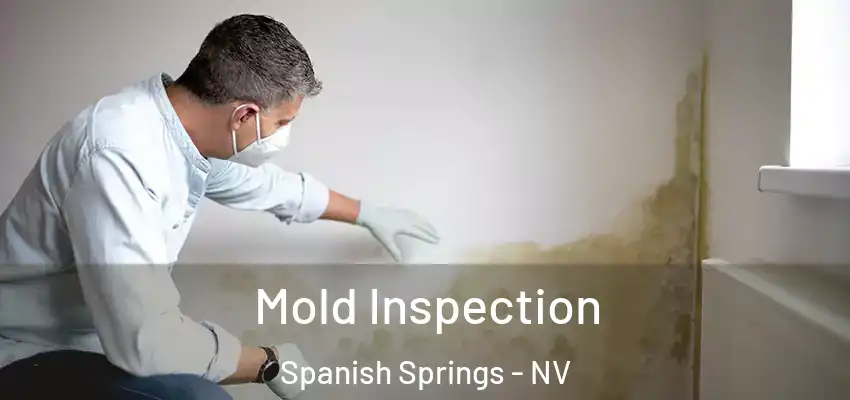  Mold Inspection Spanish Springs - NV