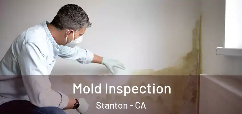 Mold Inspection Stanton - CA