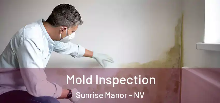  Mold Inspection Sunrise Manor - NV