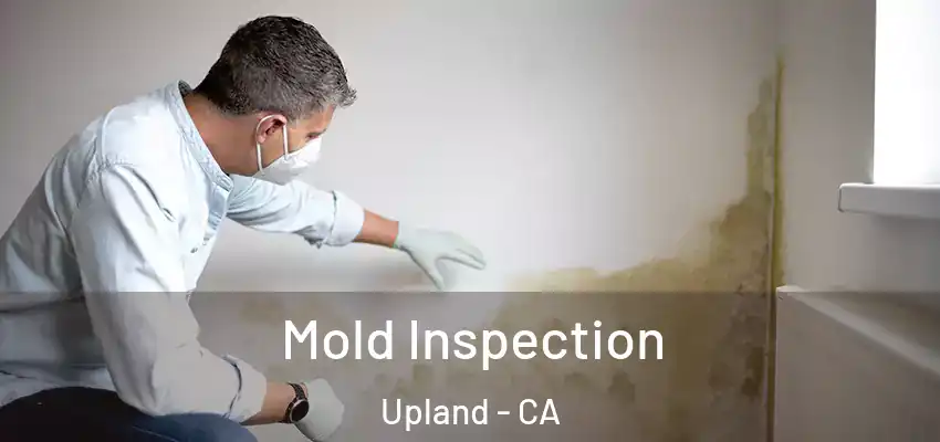 Mold Inspection Upland - CA