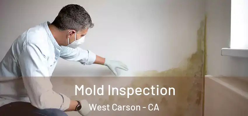 Mold Inspection West Carson - CA