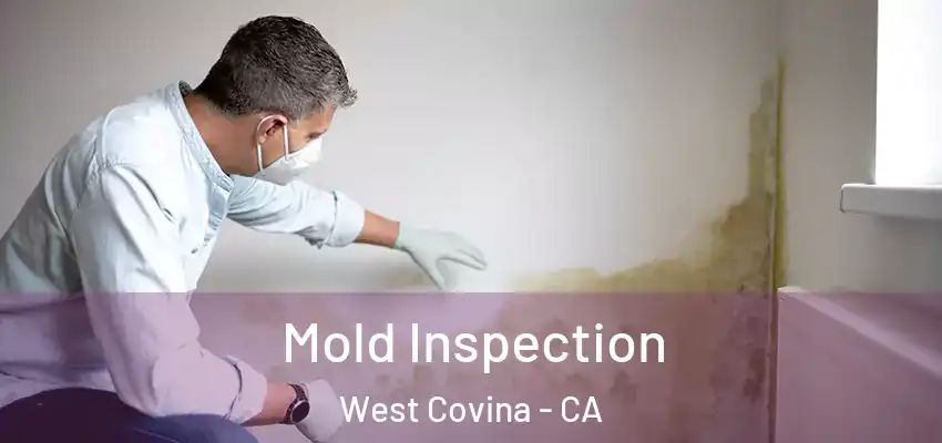  Mold Inspection West Covina - CA
