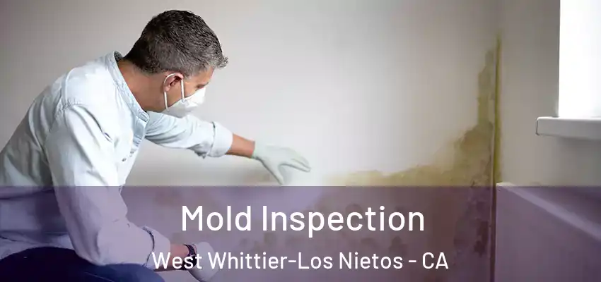 Mold Inspection West Whittier-Los Nietos - CA