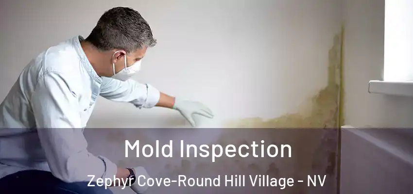 Mold Inspection Zephyr Cove-Round Hill Village - NV