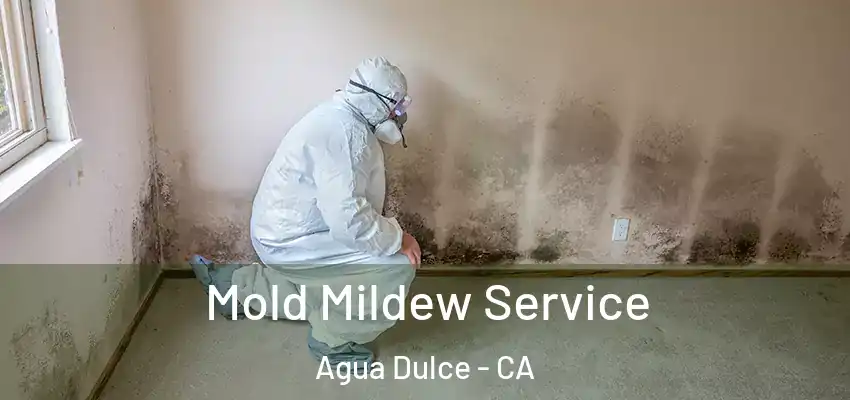 Mold Mildew Service Agua Dulce - CA