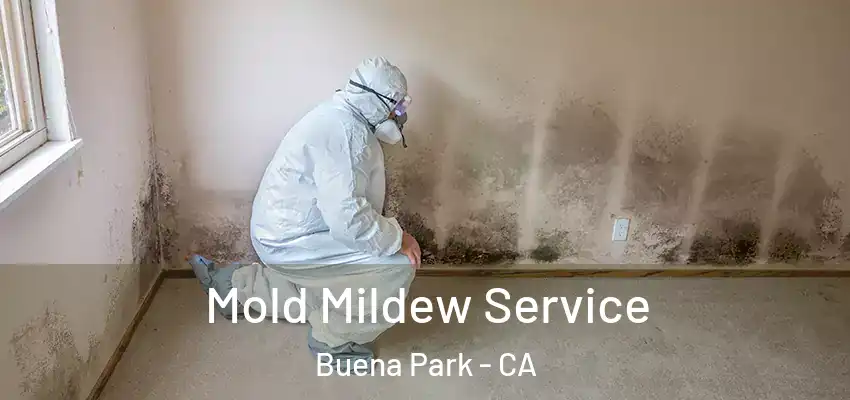  Mold Mildew Service Buena Park - CA
