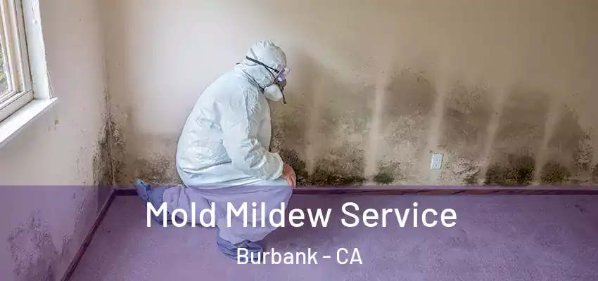  Mold Mildew Service Burbank - CA