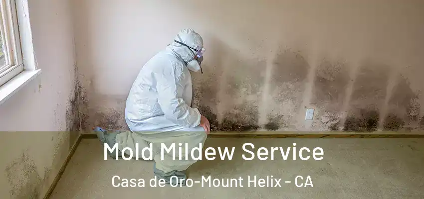  Mold Mildew Service Casa de Oro-Mount Helix - CA