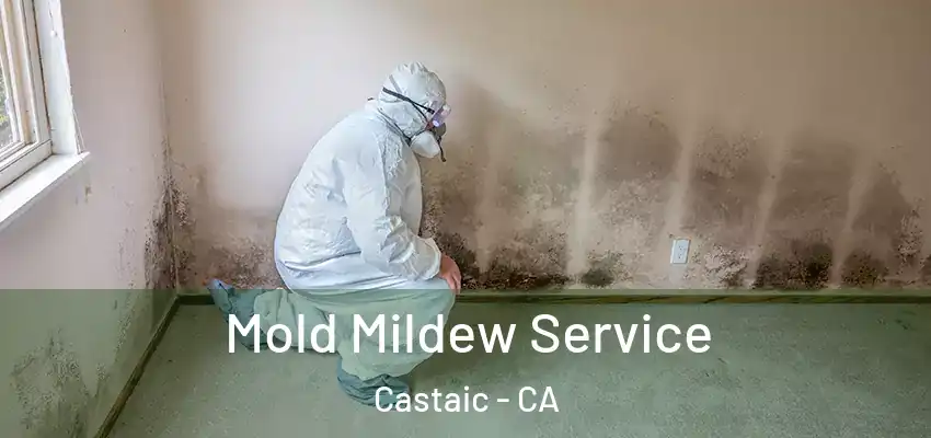 Mold Mildew Service Castaic - CA