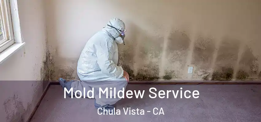 Mold Mildew Service Chula Vista - CA