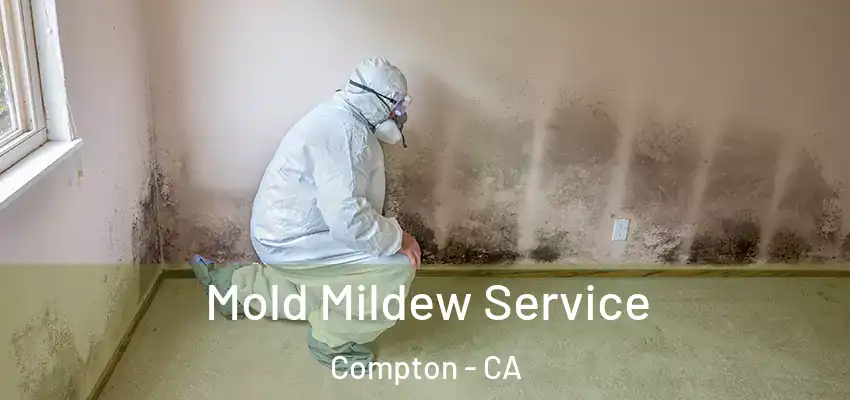 Mold Mildew Service Compton - CA