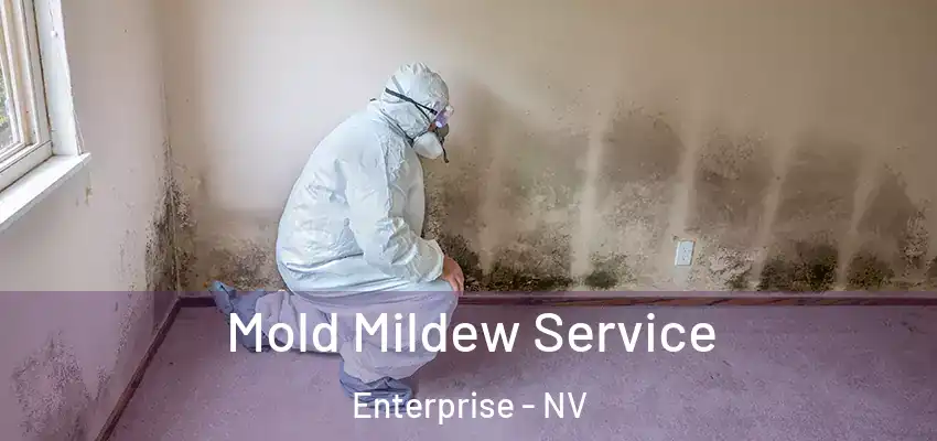 Mold Mildew Service Enterprise - NV