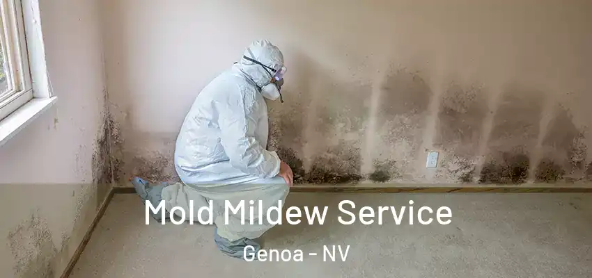 Mold Mildew Service Genoa - NV