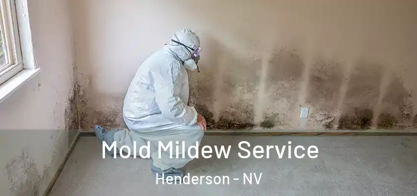  Mold Mildew Service Henderson - NV