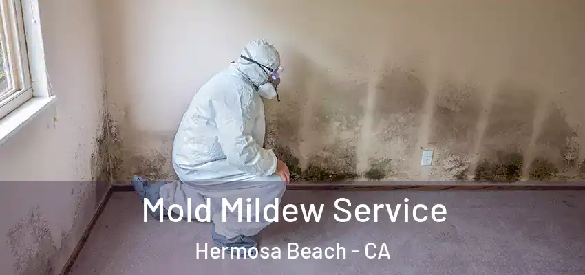  Mold Mildew Service Hermosa Beach - CA