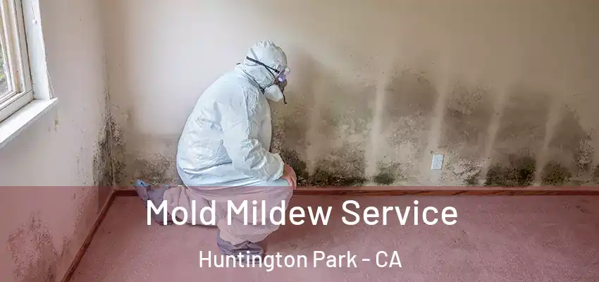Mold Mildew Service Huntington Park - CA