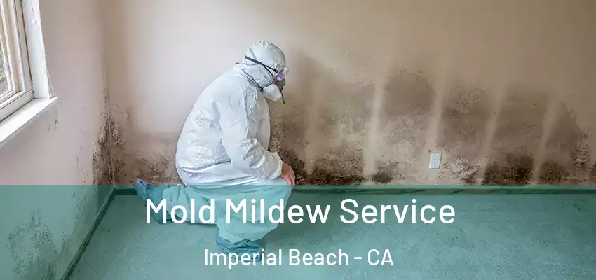  Mold Mildew Service Imperial Beach - CA