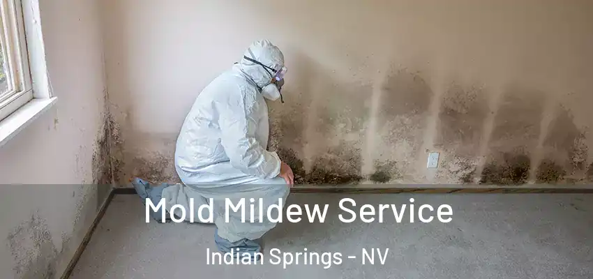 Mold Mildew Service Indian Springs - NV