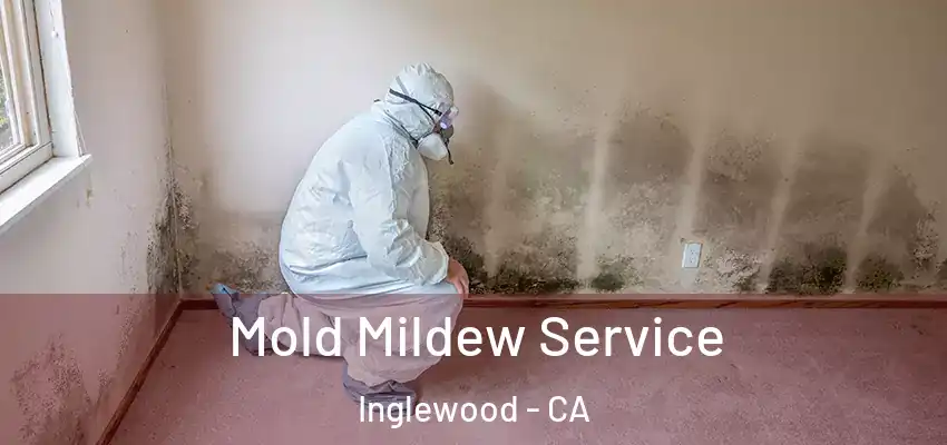  Mold Mildew Service Inglewood - CA