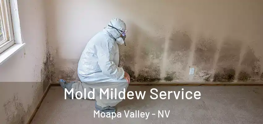  Mold Mildew Service Moapa Valley - NV