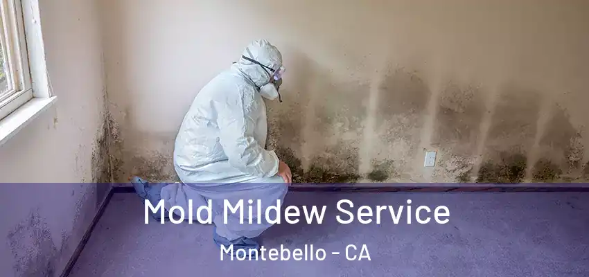 Mold Mildew Service Montebello - CA
