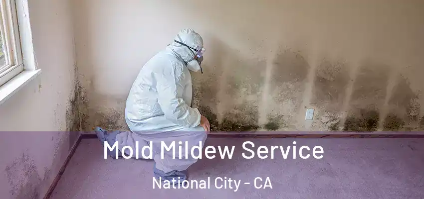 Mold Mildew Service National City - CA