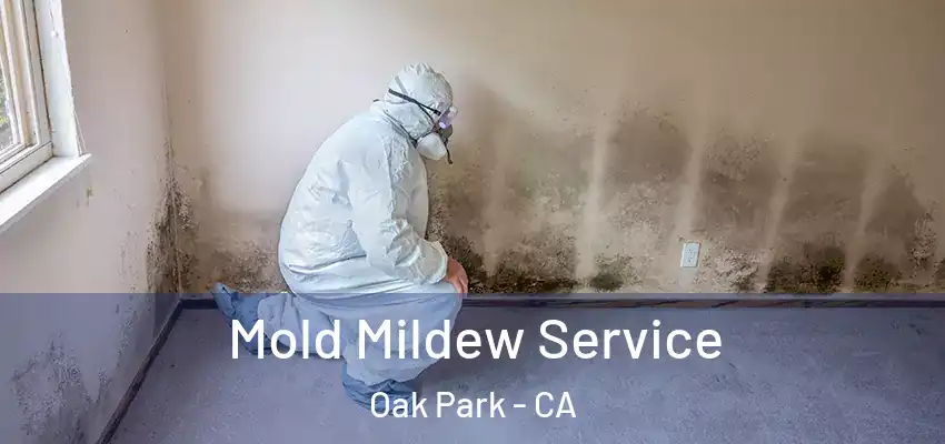 Mold Mildew Service Oak Park - CA