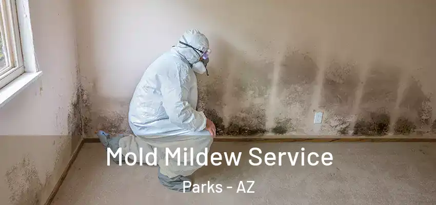 Mold Mildew Service Parks - AZ