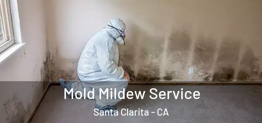 Mold Mildew Service Santa Clarita - CA