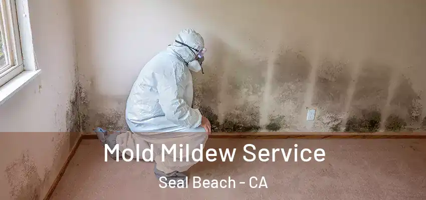  Mold Mildew Service Seal Beach - CA