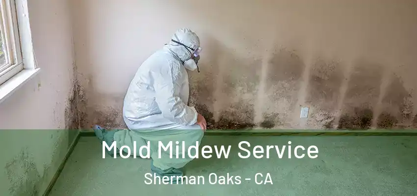  Mold Mildew Service Sherman Oaks - CA