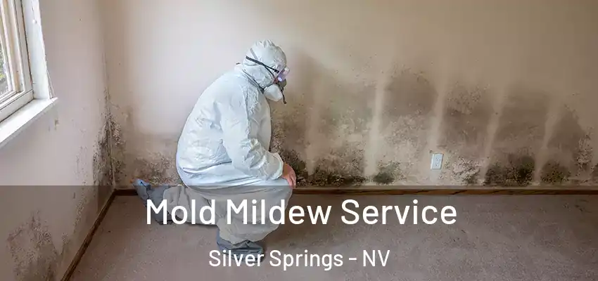  Mold Mildew Service Silver Springs - NV