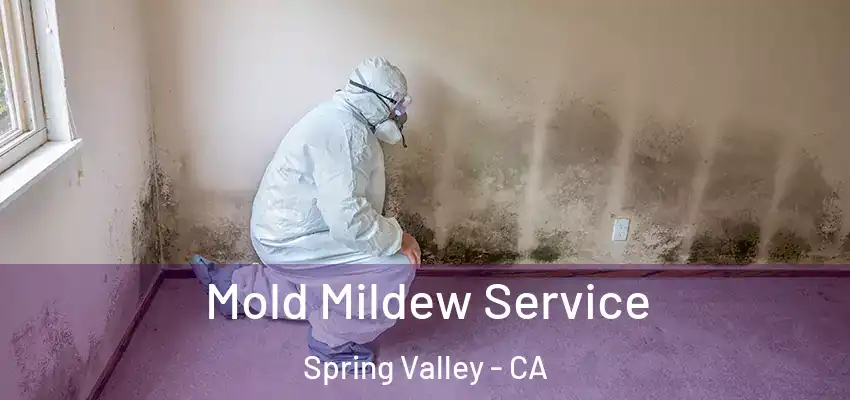  Mold Mildew Service Spring Valley - CA