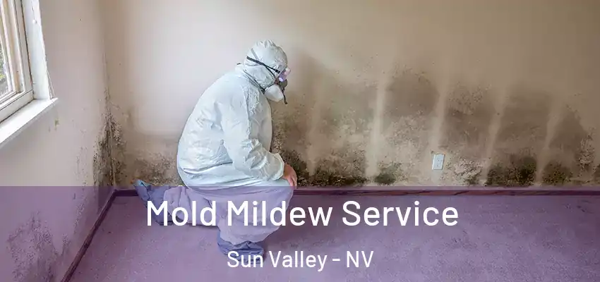  Mold Mildew Service Sun Valley - NV