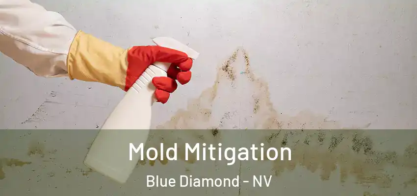  Mold Mitigation Blue Diamond - NV