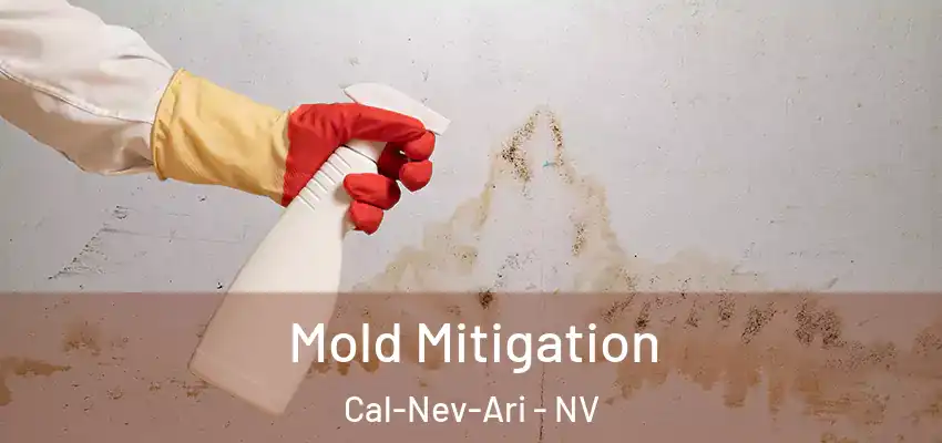  Mold Mitigation Cal-Nev-Ari - NV