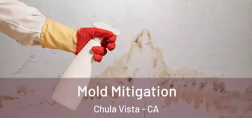  Mold Mitigation Chula Vista - CA