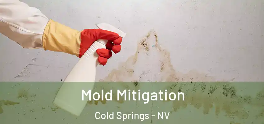  Mold Mitigation Cold Springs - NV