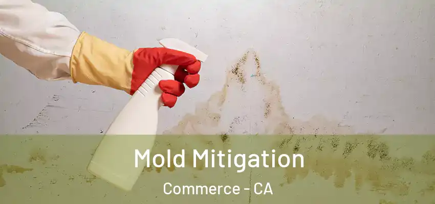 Mold Mitigation Commerce - CA